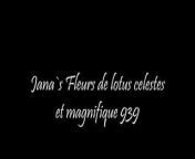Fleurs de lotus celestes et magnifique 939 from 939 803qq