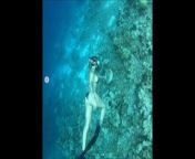 Sarah Connor Diving Trip Insta Tribute 03 17 21 from terminator fucks sarah connor