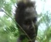PNG Buai mama suck in the bush from png bush pornos videos