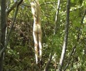 Caning in woods from stepmom in woods