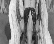 Amalia Aguila - Afro Mood (Burlesque) from aguila roja nude miryam gallegovn nude 037