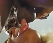 Bubbly ass ebony college girl taking a massive hard BBC inside her shaved pussy from delhi being fucked in moving car recorded by car behind them with hindi audio