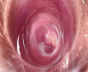 The hottest pussy spreading, Camera in Mia's creamy vagina from dildo camera in