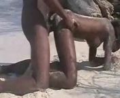 amature ebony beach fuck from ebony beach sexराठी झवाझवी सेक्स विडियो गर्ल्स हॉस्पिटलisexvideoিডিও এক্স জ
