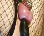 The Cutest Sissy Femboyin Metal Chastity and toys Boypussy with Anal BBC Black Dildo in lingerie fishnets from bbc black shemale