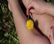 Dandelion 2 from samantha hot in moscowin kaveri