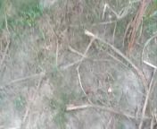 Desi village Bhabhi outdoor sex in jungle from china danger sex in jungle rape and killangla xxx 2016 new