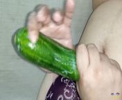 Porn with cucumber xxx Vegetarian Sex - Netu and Hubby from arab sexxxxxs xxx priynk alayalam actress chitra nude
