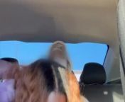 BREED ME BABY! | Passionate Backseat BBC Riding Ends In Deep Creampie from gehana vasisth boobak car